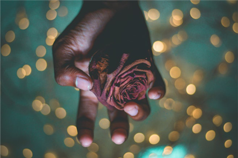 The picture shows a withered flower in hand