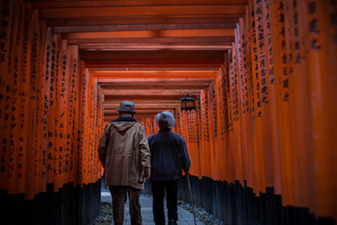 The picture shows a pair of elderly couple