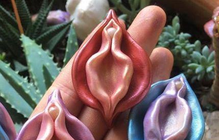 The picture shows several flowers look like female’s vulva