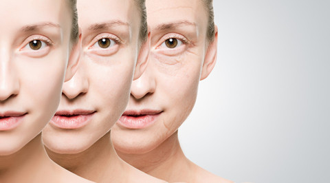 The picture shows the process of female aging